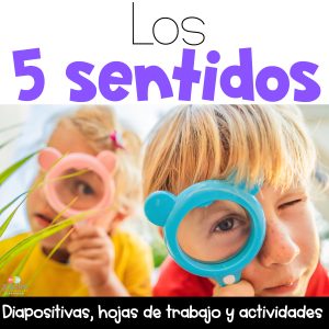 Los 5 sentidos Actividades y hojas de trabajo en español 5 senses in Spanish
