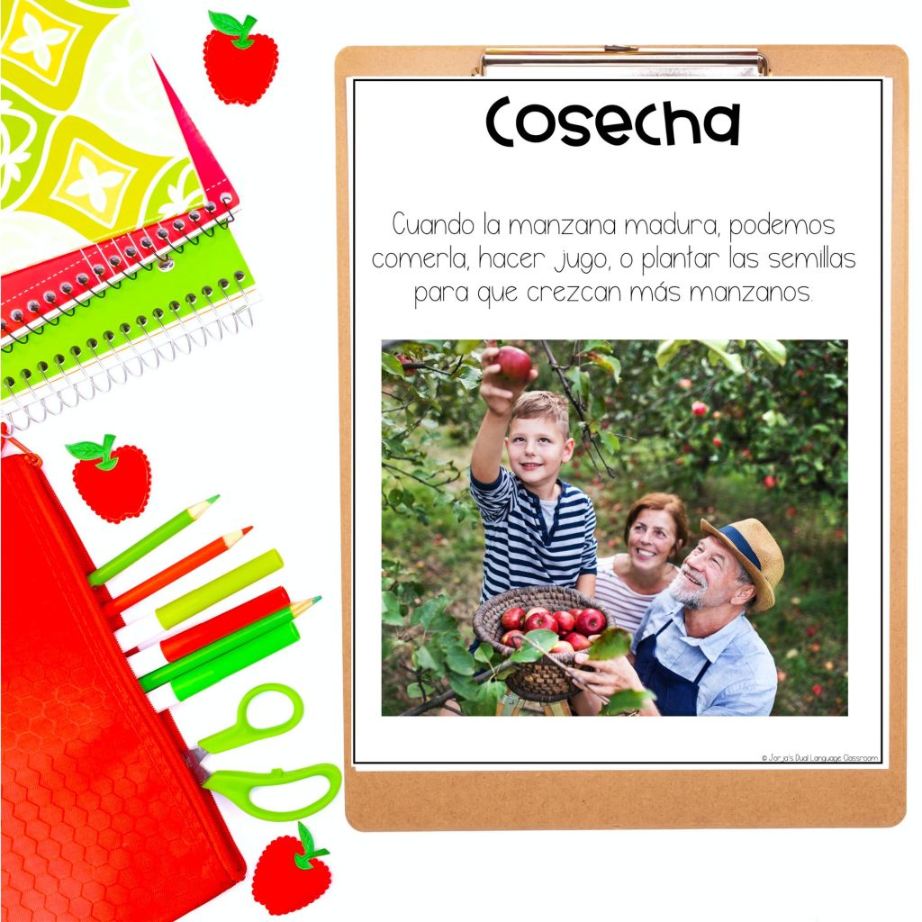 apples-unit-in-spanish-for-kids-september
