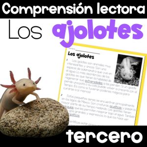 Los ajolotes Comprensión lectura tercer grado 3rd Grade Spanish Idea Principal