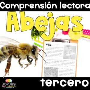 Lectura de comprensión en español 3er grado Abejas Comparar y contrastar